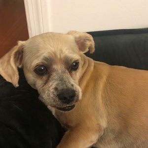 Meet your Posher, Saynia